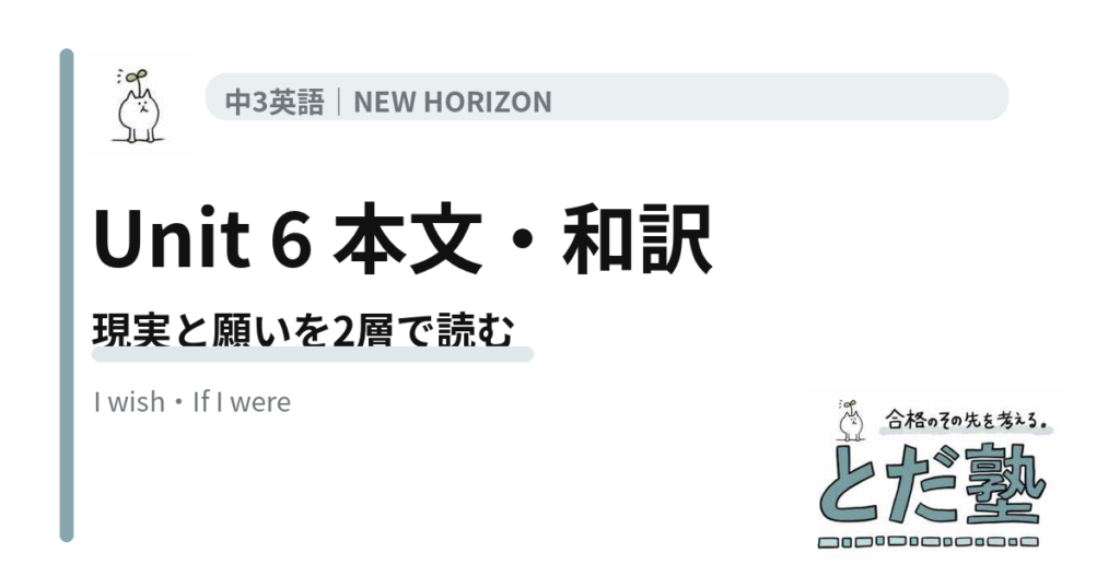 NEW HORIZON 3 Unit 6 What does it mean to be a global citizen?の本文・和訳を仮定法の現実と願いで整理する記事のアイキャッチ
